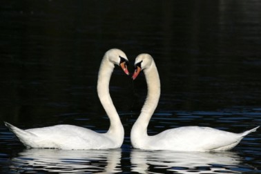 valentin3