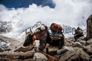 Himalaya