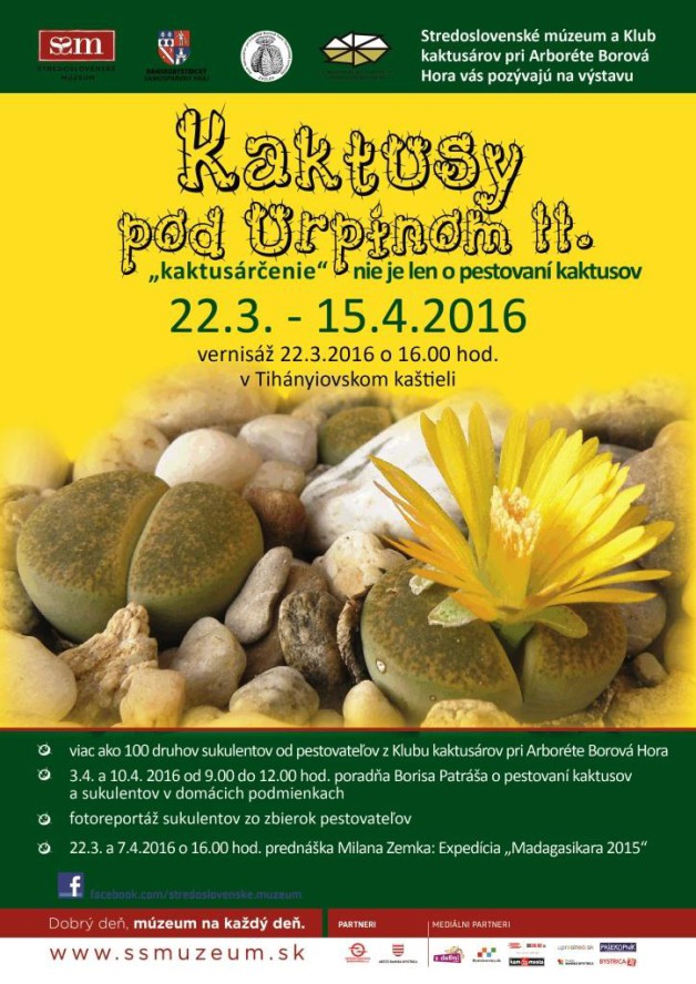 plagat kaktusy