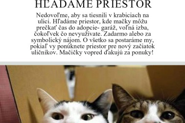 macky zvolen