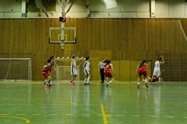 slovan2