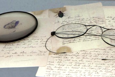 literarne a hudobne muzeum