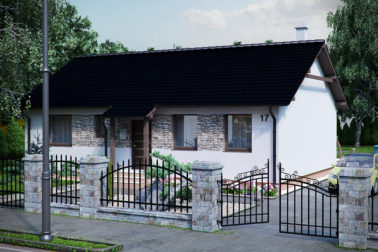 ŠTANDARD-306-TITULKA