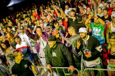 festival8