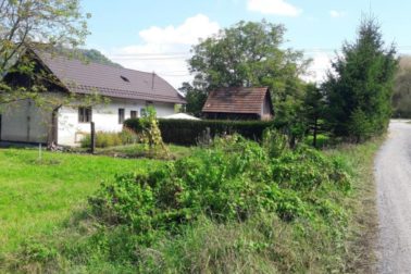 salkova3