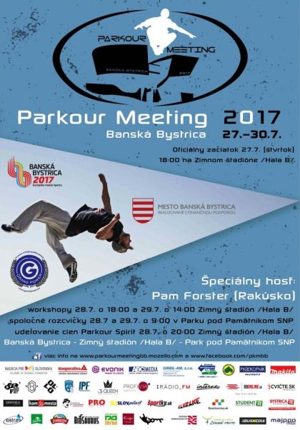 plagat_pkmbb_2017