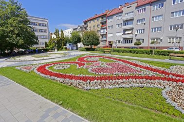 _MG_0617