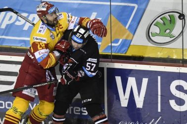 trencin-bb1