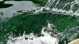 Začal 45. ročník filmového festivalu Ekotopfilm – Envirofilm 2018