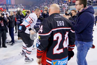 tomas zigo