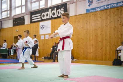 karate1