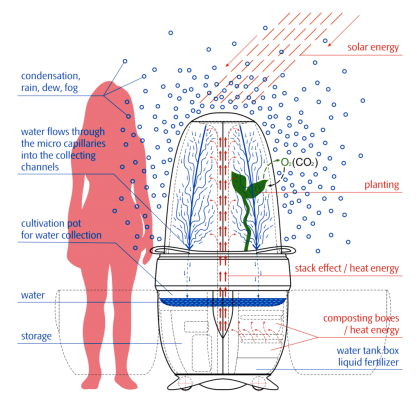 schema