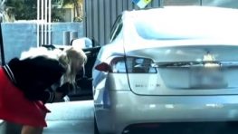 VIDEO: Ako natankovať elektromobil
