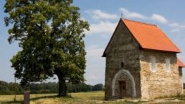 Strom zo Slovenska s príbehom opäť v prestížnej európskej ankete, môžeme zaň hlasovať