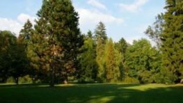 Komunálny  zápisník #2: Revitalizácia mestského parku a nový dodávateľ komunálnych služieb