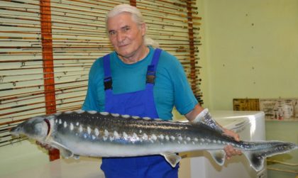 milan ziak