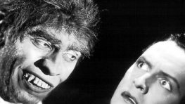 Slovenský Dr. Jekyll a Mr. Hyde?
