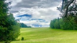 Projekt EÚ Interreg SUSTREE a cezhraničná spolupráca pri adaptácii lesov na klimatickú zmenu