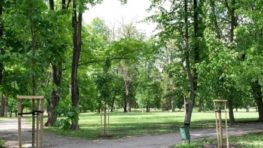 V Mestskom parku pribudla zeleň