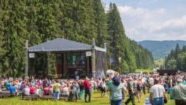 V sobotu je vo Vydrovskej doline Deň stromu 2019