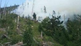 Požiar lesa pri Bystrej sa nerozšíril, nesúvisí s ochranou Národného parku Nízke Tatry