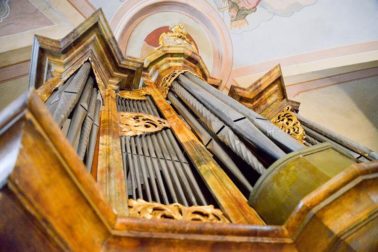 organ