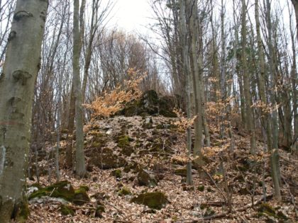 12-16 rok starý Zoznamka