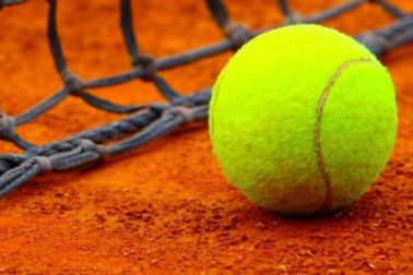tenis