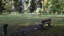 Aktivisti naďalej brzdia projekt revitalizácie mestského parku, mesto prichádza o eurofondy