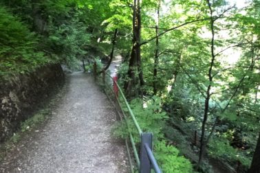 motycka2