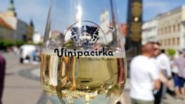 Septembrová Vínšpacírka sa už blíži, tento rok s limitovaným  počtom lístkov