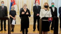 Vyhlásenia prezidentky, vedcov, odborníkov, lekárov a politikov k celoplošnému testovaniu