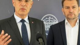 Faux pax EÚ a ministra Korčoka, zrkadlo politickej kultúry rakúskej ministerky našim plagiátorom