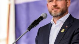 Prieskum AKO: V polovici mája je na čele Hlas s náskokom pred SaS a Smerom