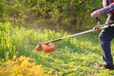 man mows the lawn grass with a lawn mower