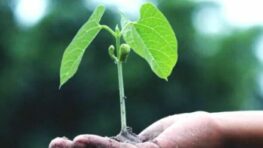 Štartuje Zelený vzdelávací fond s podporou 150 000 eur z Environmentálneho fondu