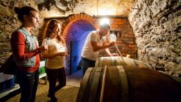 Vinárske pivničky na strednom Slovensku sa otvoria aj tento rok