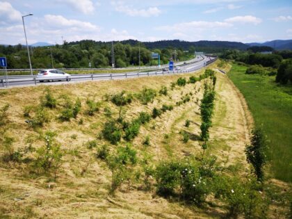 R1 v smere Slovenská Ľupča