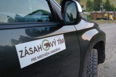 zasahovy tim