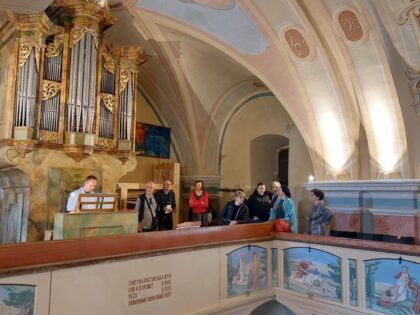Španodolinský organ
