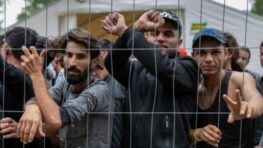 Vlna nelegálnych migrantov ohrozuje južné okresy Banskobystrického kraja, výzva vláde na riešenie situácie
