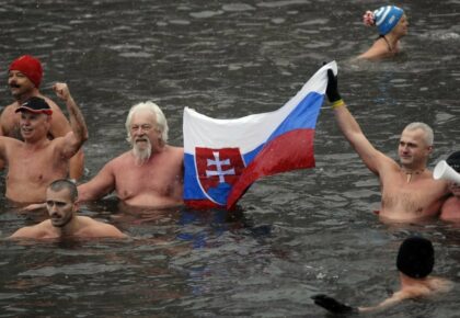 Slovenský ľadový medveď