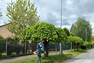 podnik4