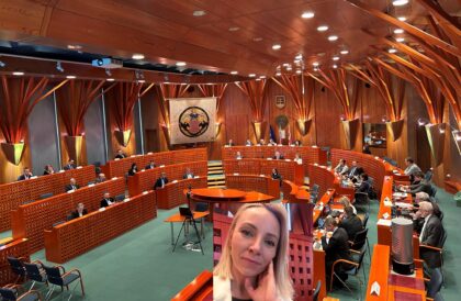 Diana Javorčíková a mestské zastupiteľstvo