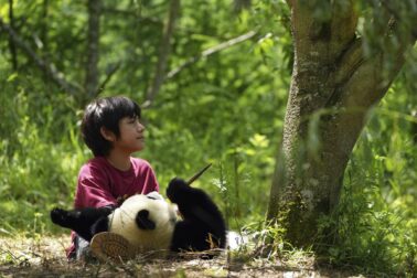 panda_02