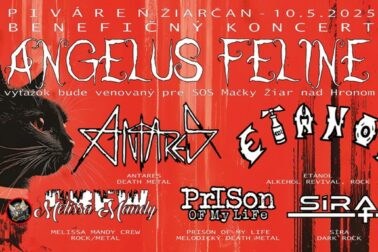 plagat Angelus ZH