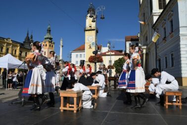 prvosienka2