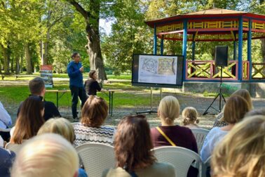 mestsky park4