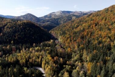 Korytnica dronovy pohlad