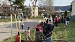Vladimír Ivan: Srdcia dobrovoľníkov rozkvitli v Sakurovej aleji na Fončorde